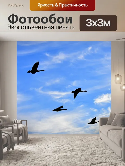 Фотообои Гуси