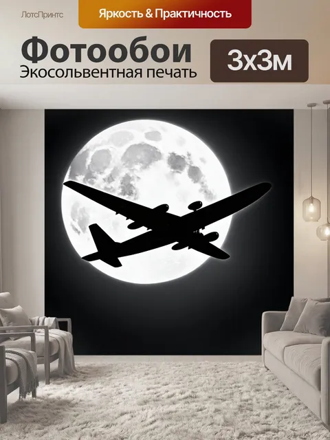 Фотообои самолет в черно-белом стиле, с крылами, отражающими лунный свет
