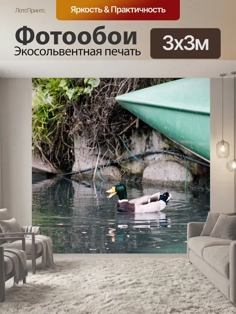 Фотообои Утка и каноэ