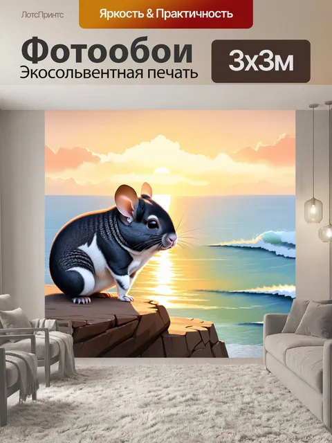 Фотообои шиншилла, стоящая на скале морского побережья, любуясь закатом