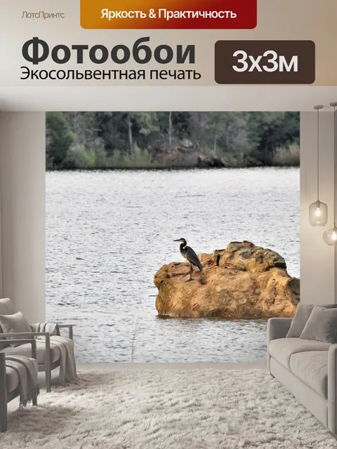 Фотообои Большая голубая цапля на скале в озере