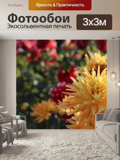 Фотообои Георгин