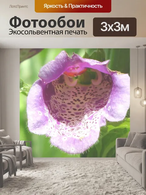 Фотообои Цветочная 04