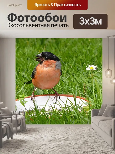 Фотообои Животное