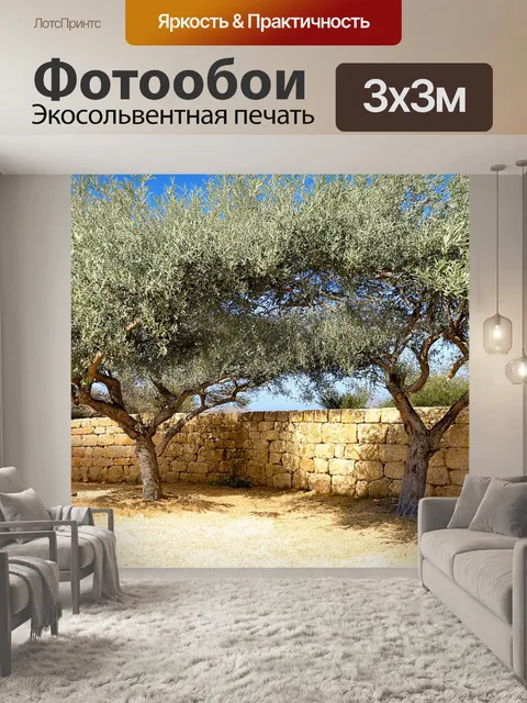 Фотообои греческий сад оливковых деревьев