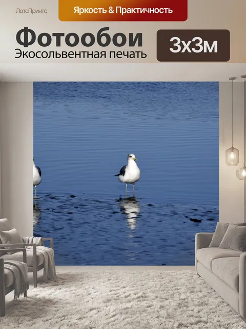 Фотообои Три Чайки