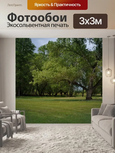 Фотообои Зеленый лес