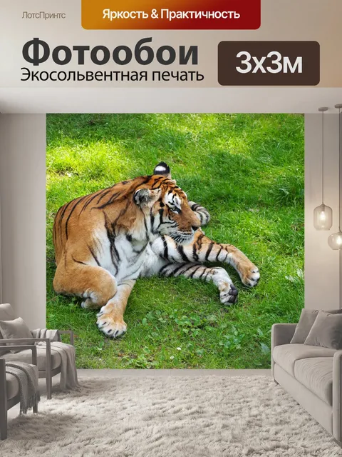 Фотообои Тигр