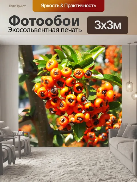 Фотообои Ягода
