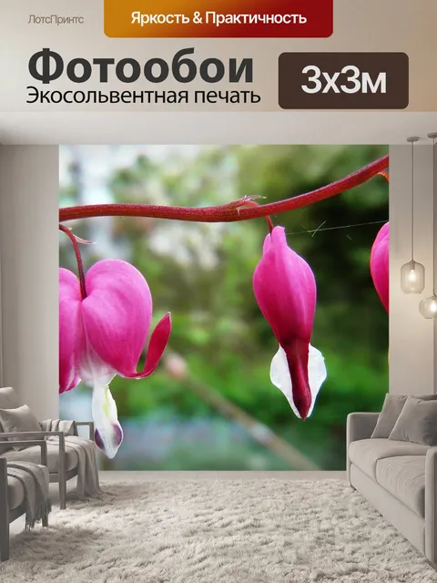 Фотообои Цветок