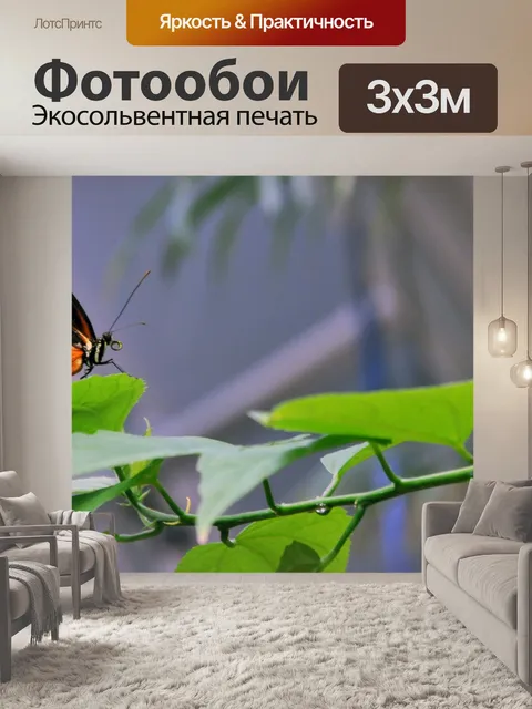 Фотообои Бабочка на лист