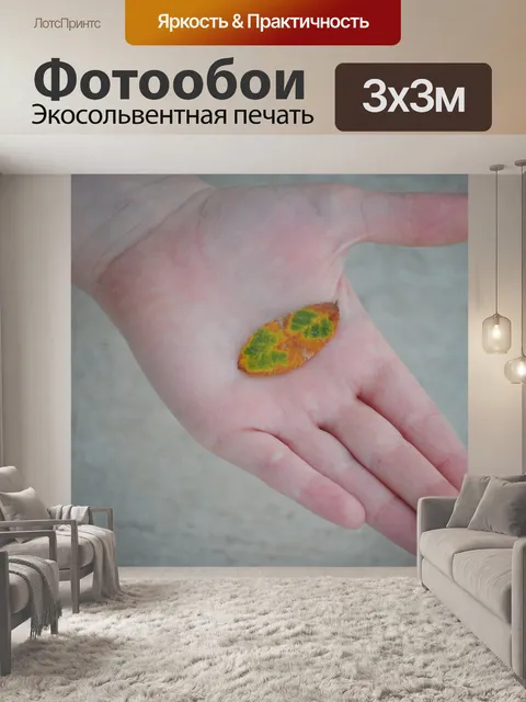 Фотообои Лист