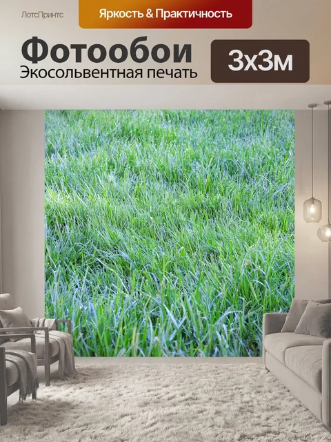 Фотообои Природа