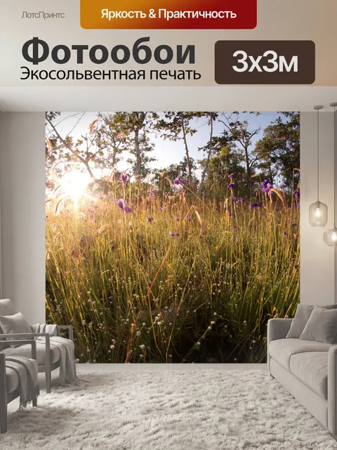 Фотообои Красивый полевой цветок в ubonratchathan