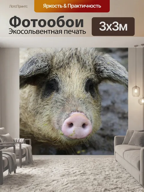 Фотообои Норвегия