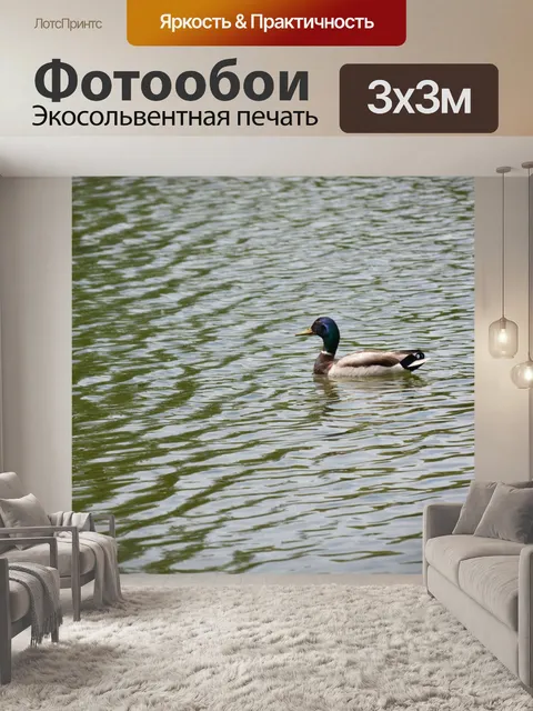 Фотообои Утки на озере