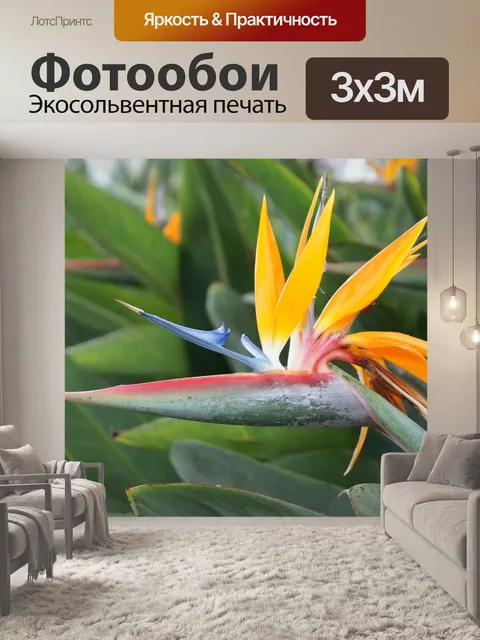 Фотообои Райская птица цветок