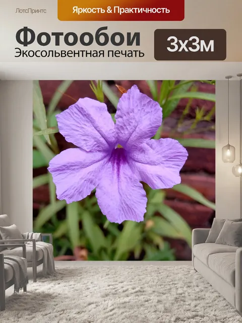 Фотообои Фиолетовый цветок