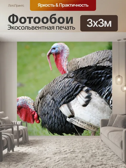 Фотообои Рыбы