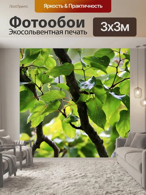 Фотообои полупрозрачные листья
