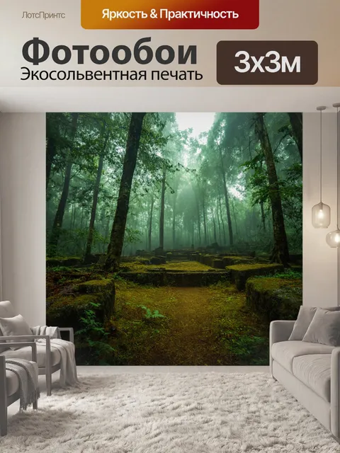 Фотообои таинственный лес с туманом, прячущим древние руины внизу
