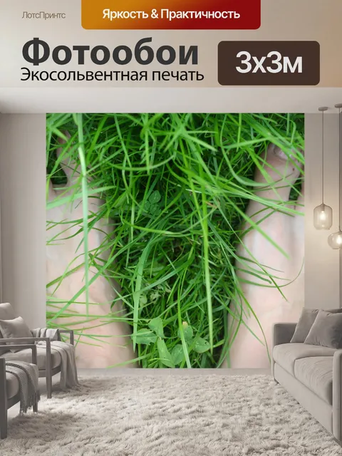 Фотообои Голые ноги на зеленой траве
