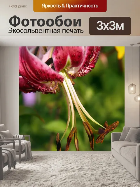 Фотообои Турка шапка лилии