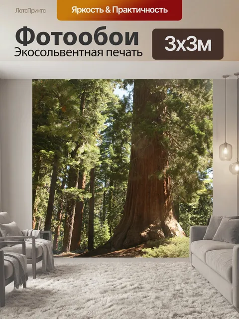 Фотообои Гигантские секвойи в Йосемити