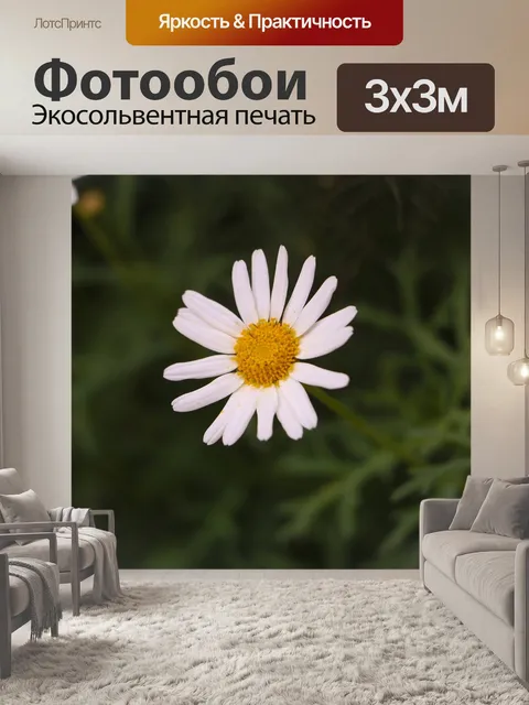 Фотообои Белый