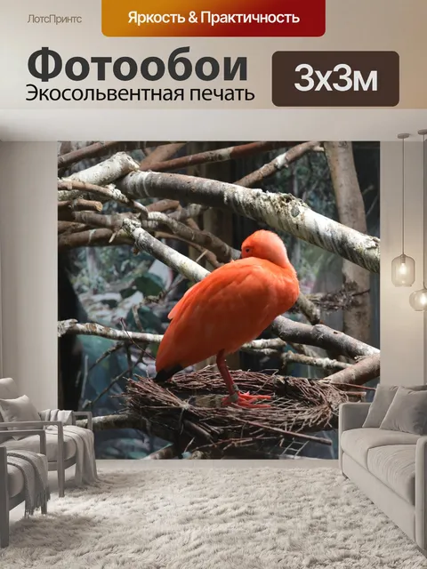 Фотообои Ибис