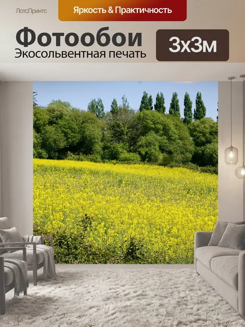 Фотообои Рапсовое поле.