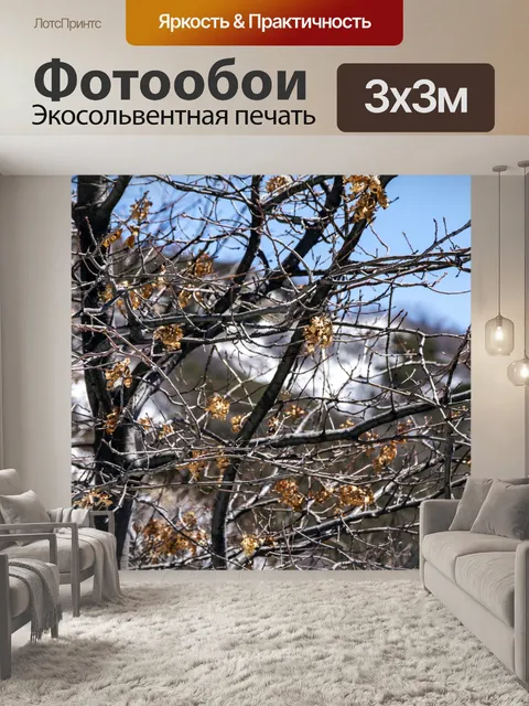 Фотообои осенние листья зимой