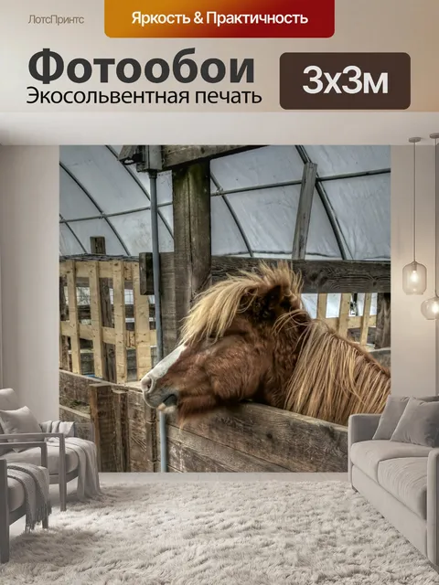 Фотообои Маленький пони