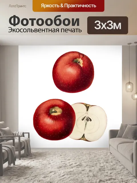 Фотообои Яблоки фрукты старинные иллюстрации