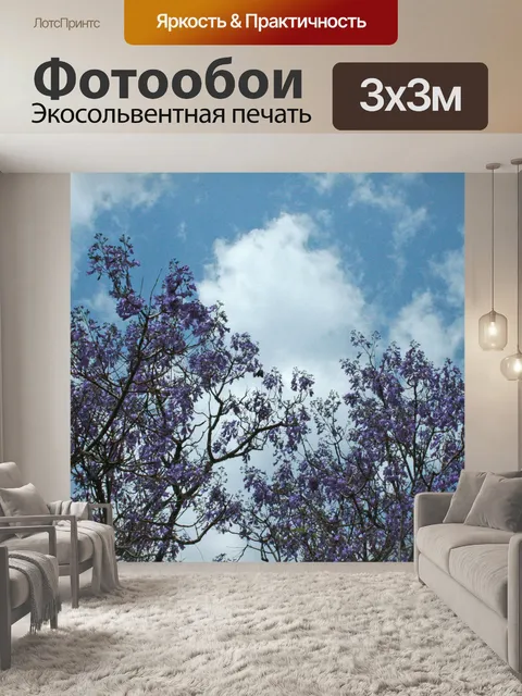 Фотообои деревья джакаранды с фиолетовыми цветами