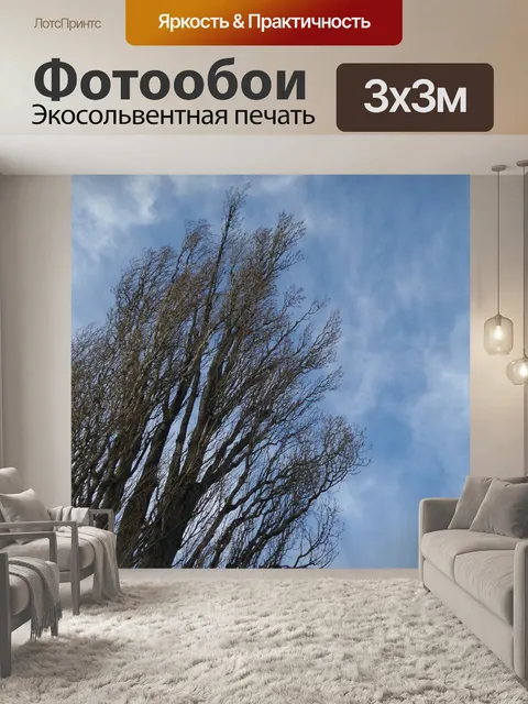Фотообои Дерево