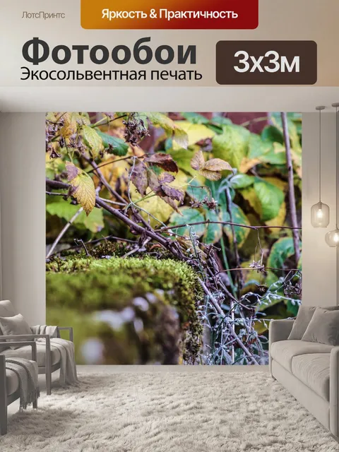 Фотообои Мох