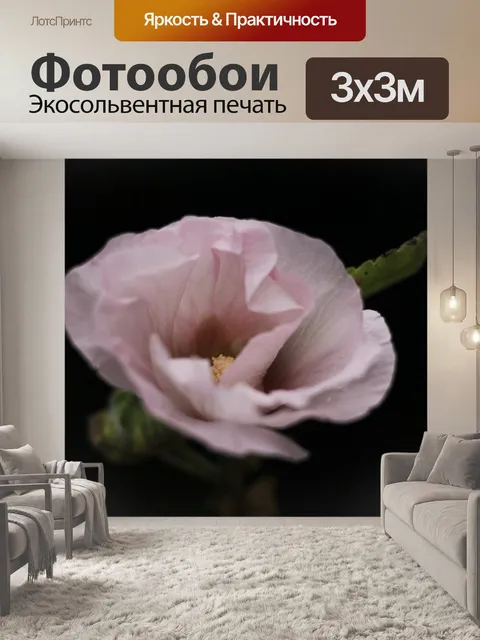 Фотообои Мальва
