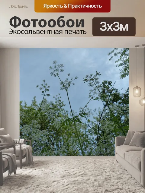 Фотообои Луговой кервель