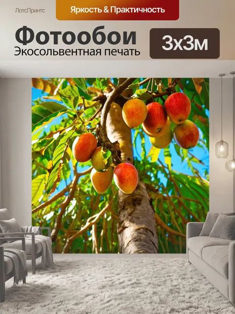 Фотообои дерево, растущее в тропиках, с плодами, свисающими с ветвей, под ярким солнечным светом