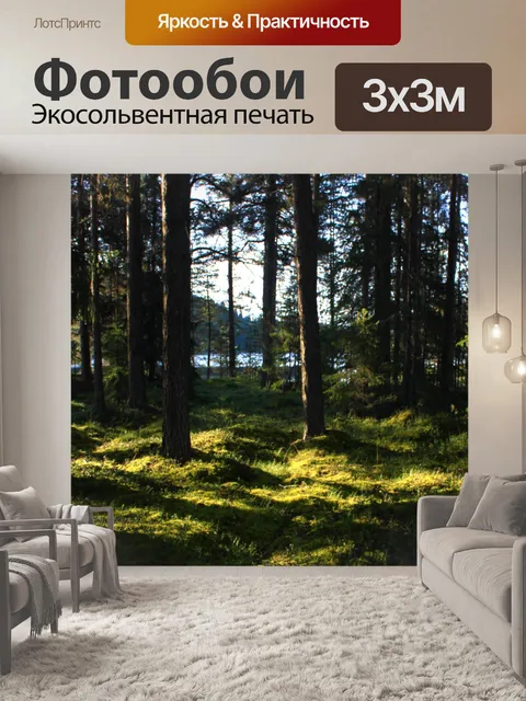 Фотообои Солнечный свет и тени