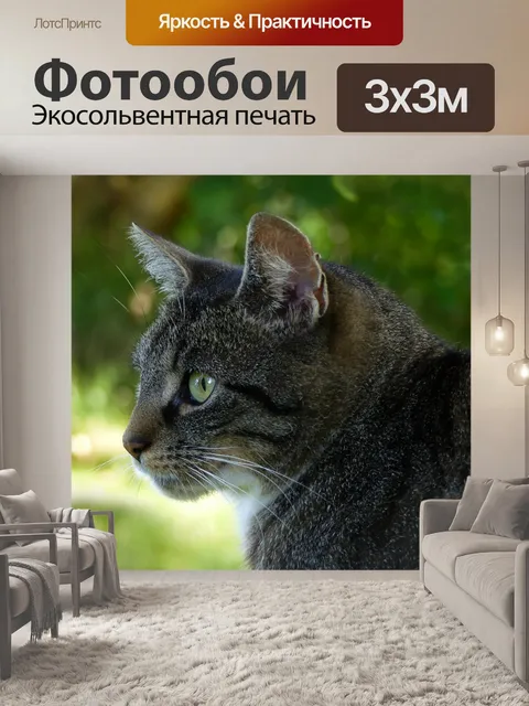 Фотообои Животное