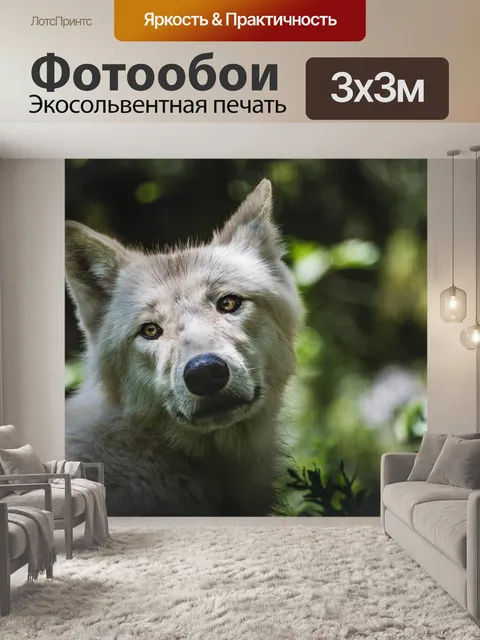 Фотообои Волк
