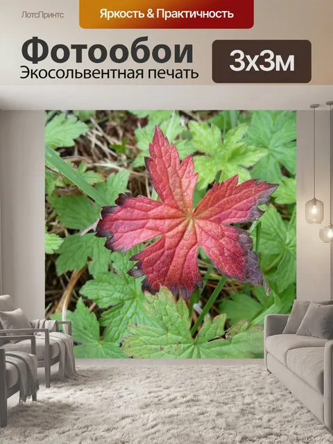 Фотообои Желтохвостый лист