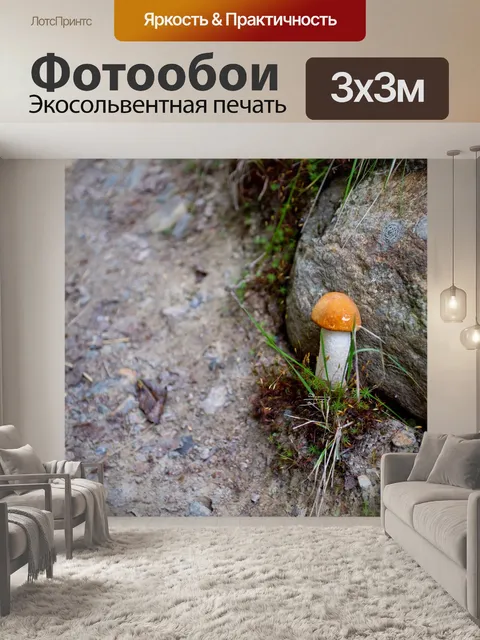 Фотообои Гриб