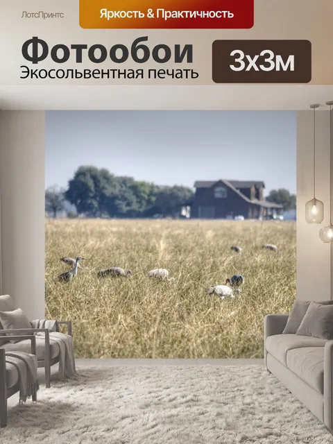 Фотообои Краны в поле