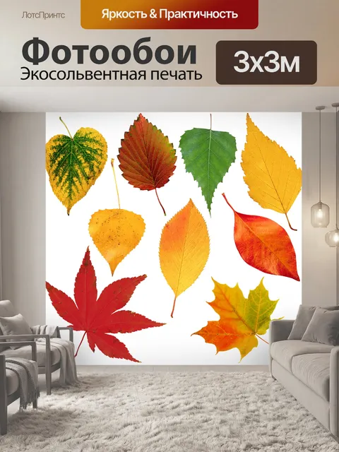 Фотообои Листья