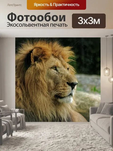 Фотообои Лев