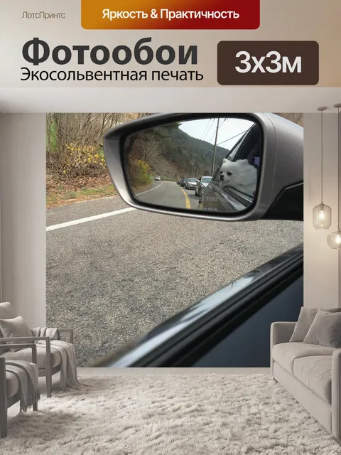 Фотообои Заднего вида