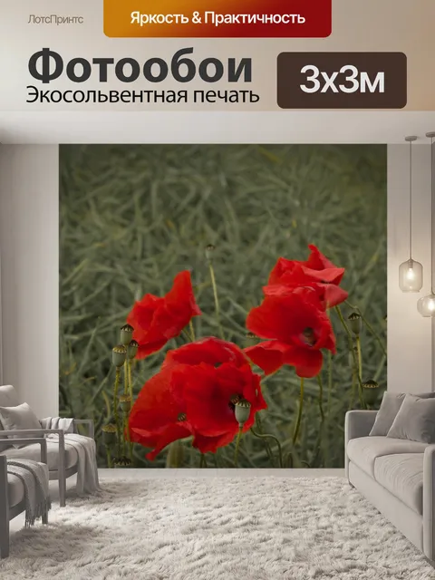 Фотообои Красный мак